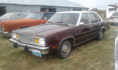 1981 Cheyenne WY